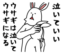 funny rabbit funny 3 sticker #8869467