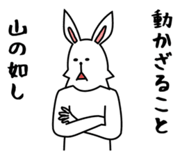 funny rabbit funny 3 sticker #8869480