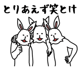 funny rabbit funny 3 sticker #8869490