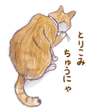 Michael Wakabayashi sticker #8871884