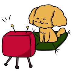 One day of poodle Mocha