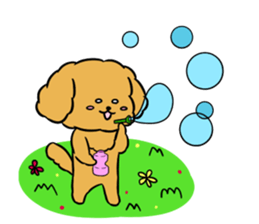 One day of poodle Mocha sticker #8872938