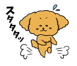 One day of poodle Mocha sticker #8872941
