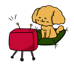 One day of poodle Mocha sticker #8872949