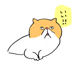 plain cat sticker #8874625