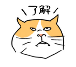 plain cat sticker #8874628