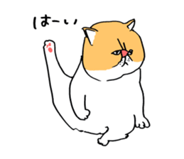 plain cat sticker #8874630