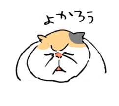 plain cat sticker #8874637