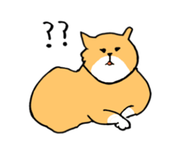 plain cat sticker #8874640
