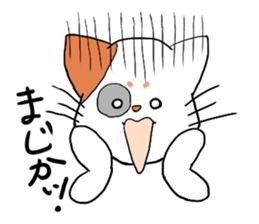 Hilarious cat(nekosuke) sticker #8876438