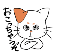 Hilarious cat(nekosuke) sticker #8876440