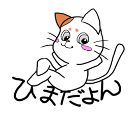 Hilarious cat(nekosuke) sticker #8876447