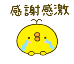 chick hiyokonoko 4 sticker #8876499