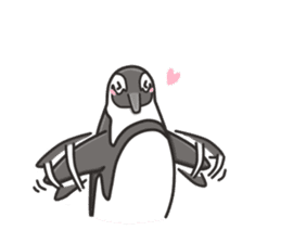 A sticker of the African penguin sticker #8876537