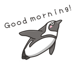 A sticker of the African penguin sticker #8876545