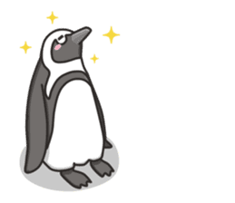 A sticker of the African penguin sticker #8876552