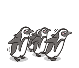 A sticker of the African penguin sticker #8876564