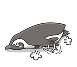 A sticker of the African penguin sticker #8876565