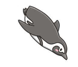 A sticker of the African penguin sticker #8876570