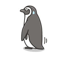 A sticker of the African penguin sticker #8876573