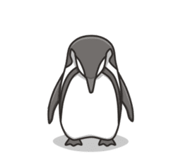 A sticker of the African penguin sticker #8876574