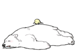 White bears like a man sticker #8876989