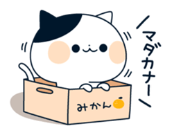 attention seeker cat sticker #8877904