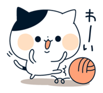 attention seeker cat sticker #8877930