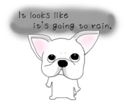 French bulldog Ume 2 English ver. sticker #8880361