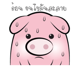Pig-gy sticker #8881054