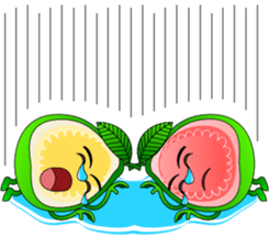 Red Guava & White Guava sticker #8881101