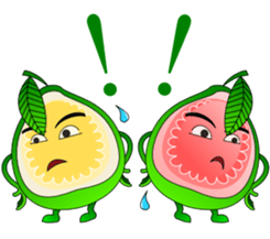 Red Guava & White Guava sticker #8881126