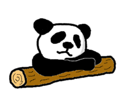 Panda Pan-chan. sticker #8884936