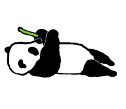 Panda Pan-chan. sticker #8884949