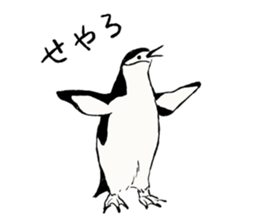 Animals of the Arctic & the Antarctic 2 sticker #8886976