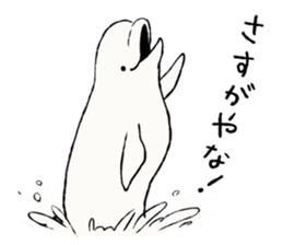 Animals of the Arctic & the Antarctic 2 sticker #8886991