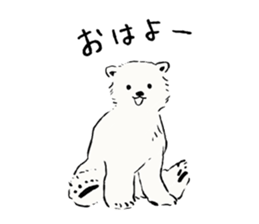 Animals of the Arctic & the Antarctic 2 sticker #8887012