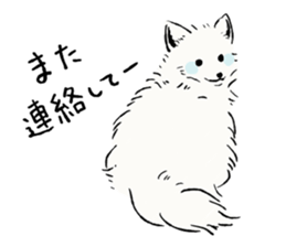 Animals of the Arctic & the Antarctic 2 sticker #8887014