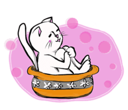 SHIRO NEKO KUN sticker #8890971