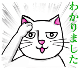 SHIRO NEKO KUN sticker #8890992