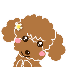 I love poodle. Merry Christmas!!