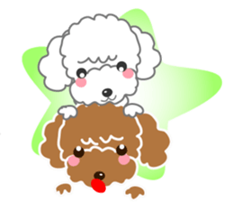 I love poodle. Merry Christmas!! sticker #8892454