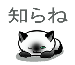 Cat of my family sticker #8894950