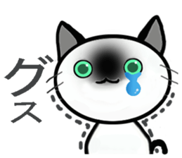 Cat of my family sticker #8894958