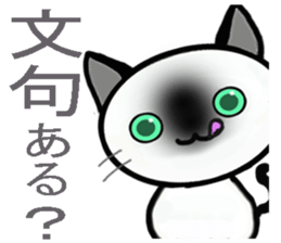 Cat of my family sticker #8894960