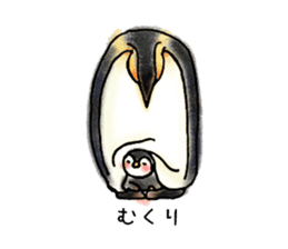 Baby emperor penguin sticker #8896664