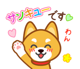 Dog of my home(red shiba) sticker #8898665