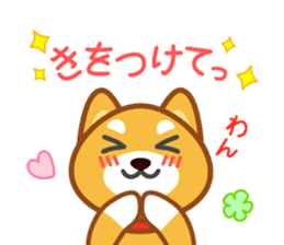 Dog of my home(red shiba) sticker #8898677