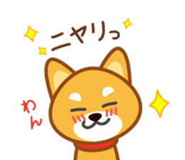 Dog of my home(red shiba) sticker #8898687