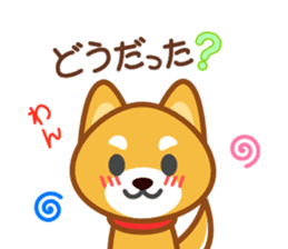Dog of my home(red shiba) sticker #8898689